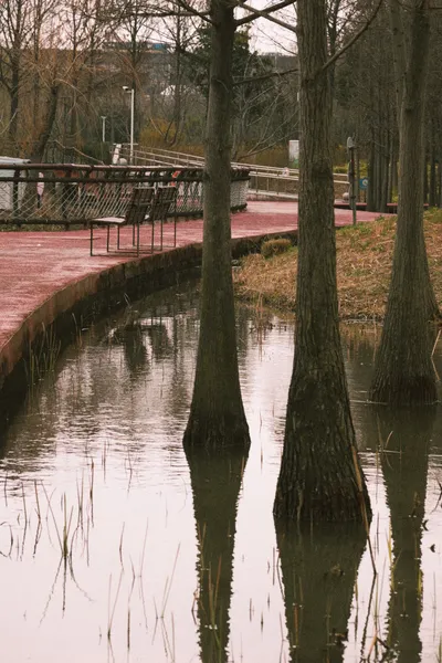 20260306-上海郊野公园 3