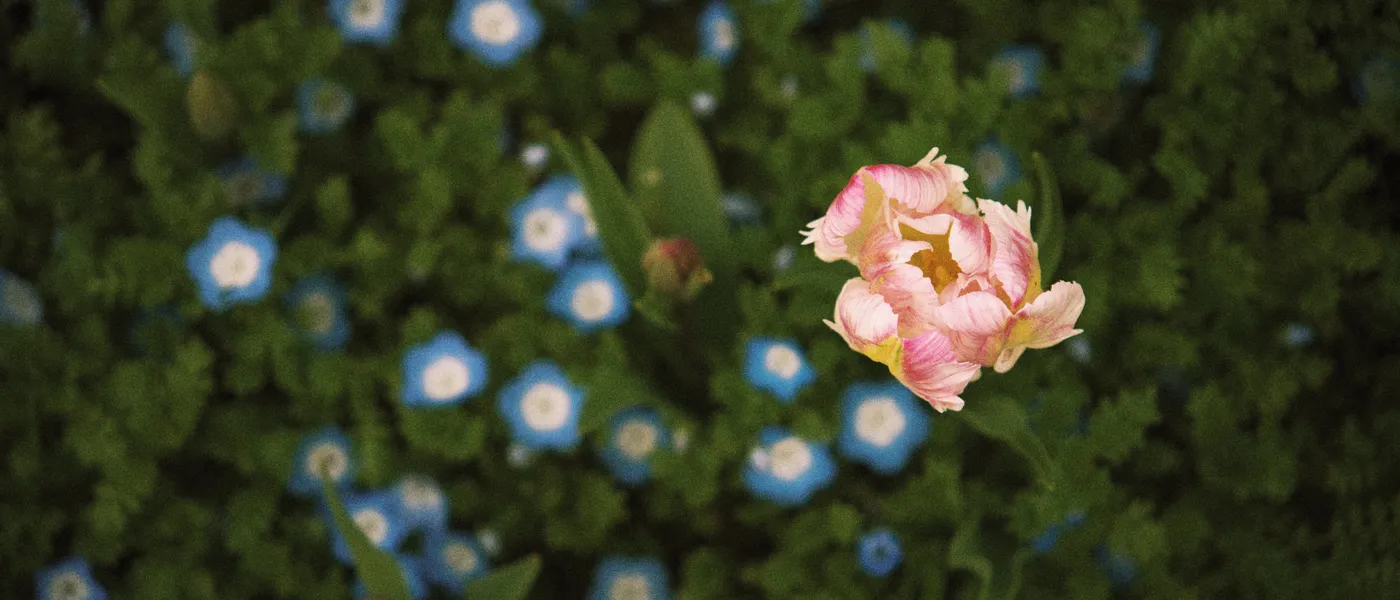 为什么我们和她不一样？